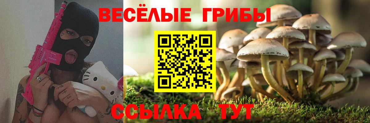Галлюциногенные грибы ЛСД  Псилоцибиновые грибы Cubensis  Назарово 